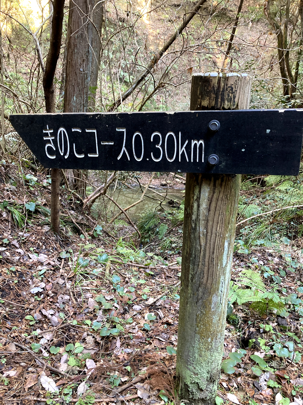 月崎トンネルの写真4