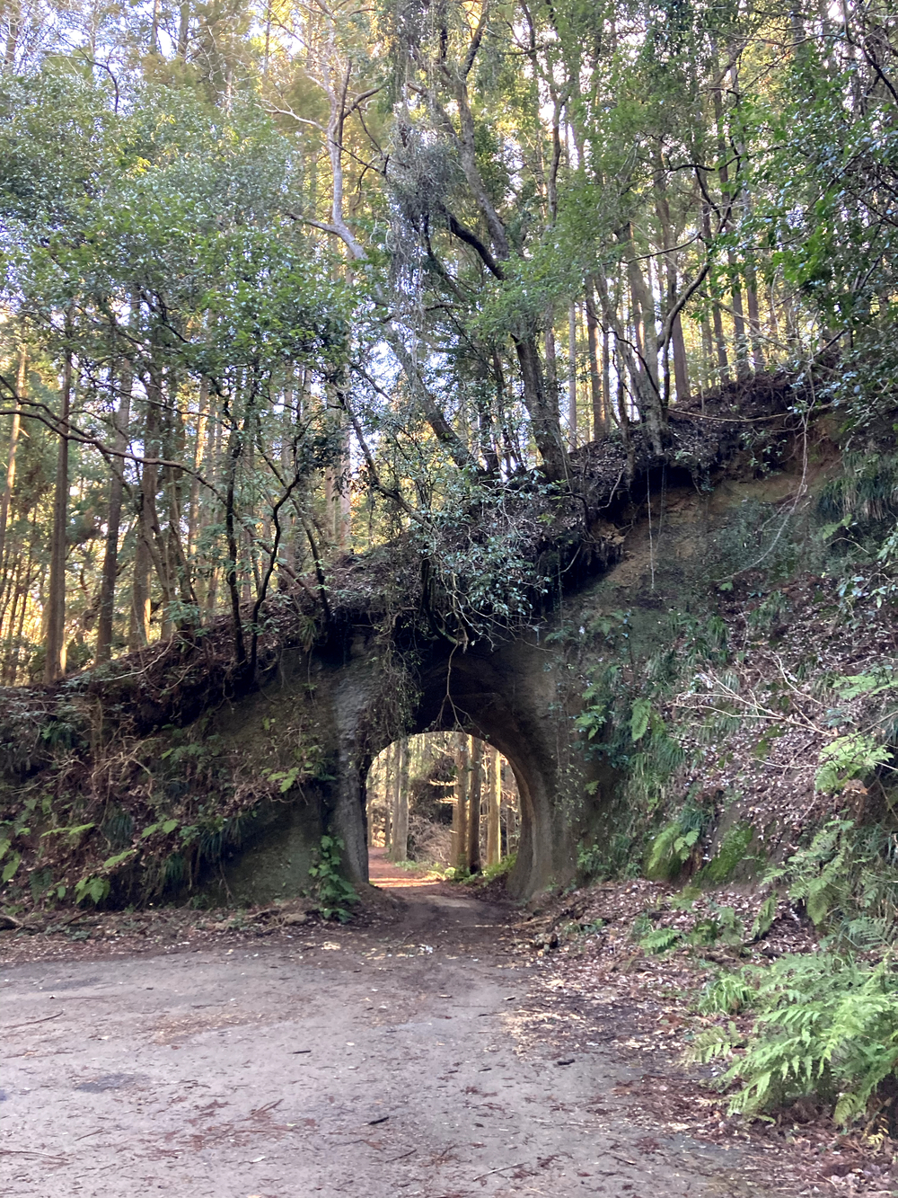 月崎トンネルの写真5