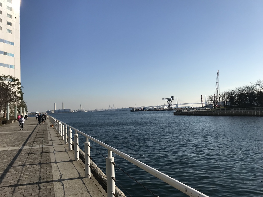 横浜モーニングランの写真3