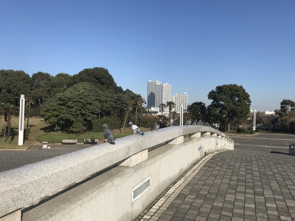 横浜モーニングランの写真5