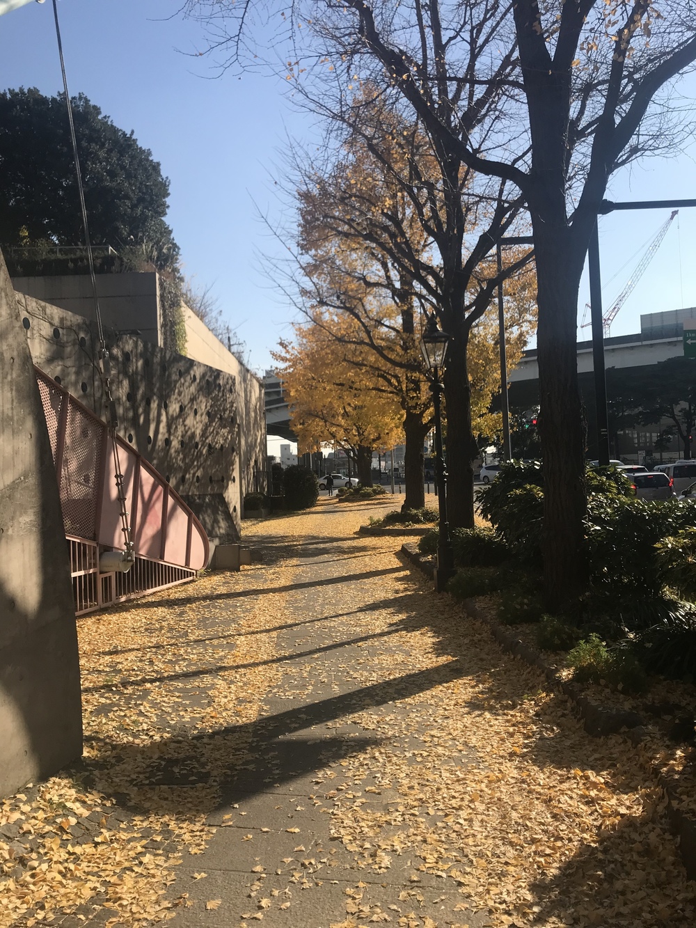 横浜モーニングランの写真12