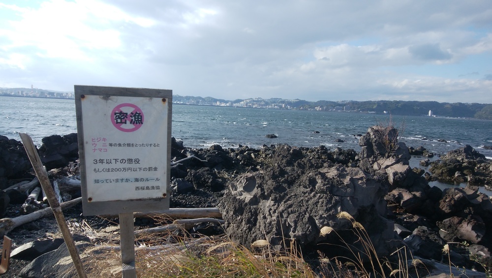 絶景！！桜島溶岩なぎさ遊歩道往復約10km　の写真3