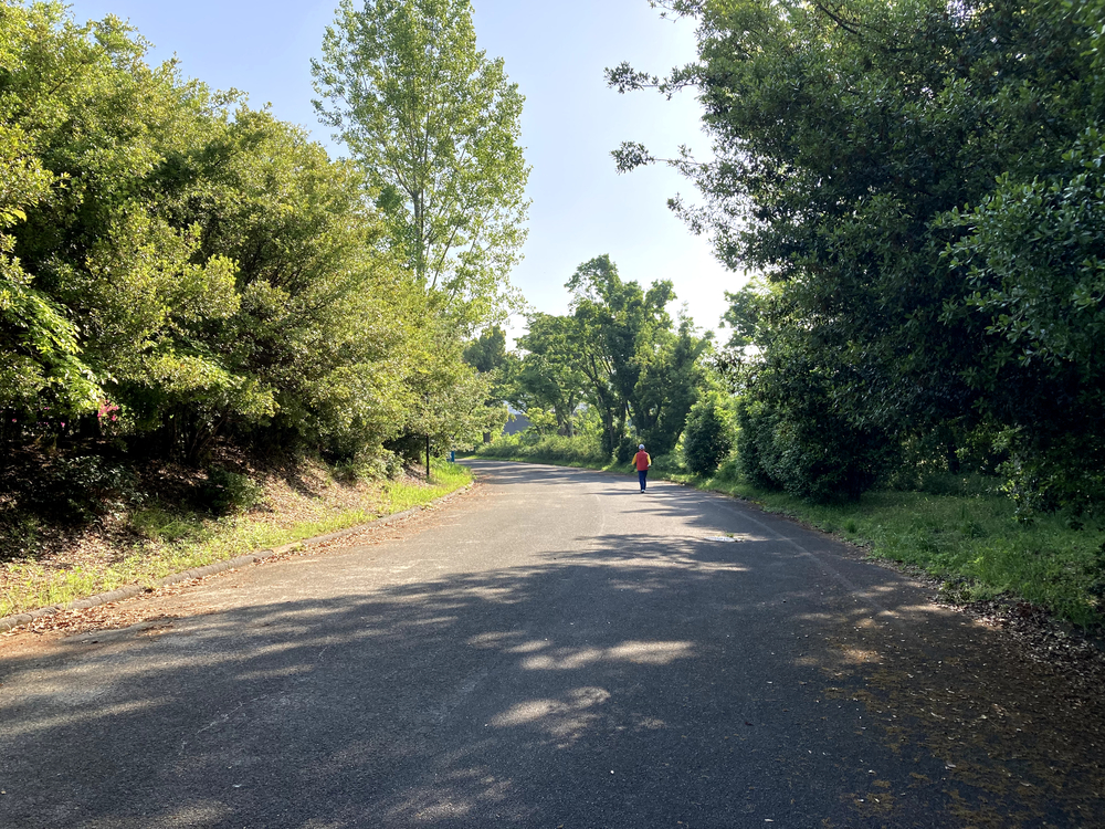 千里万博記念公園 パナソニックスタジアム周回の写真3