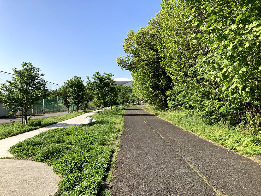 千里万博記念公園 パナソニックスタジアム周回の写真4