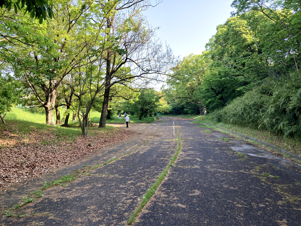 千里万博記念公園 パナソニックスタジアム周回の写真5