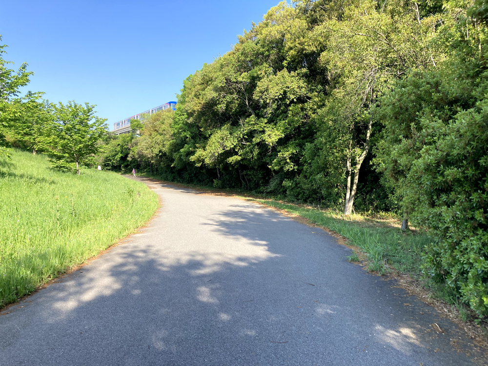 千里万博記念公園 パナソニックスタジアム周回の写真6