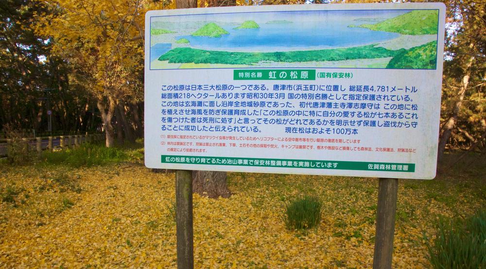 徒然なるままに虹の松原の写真7