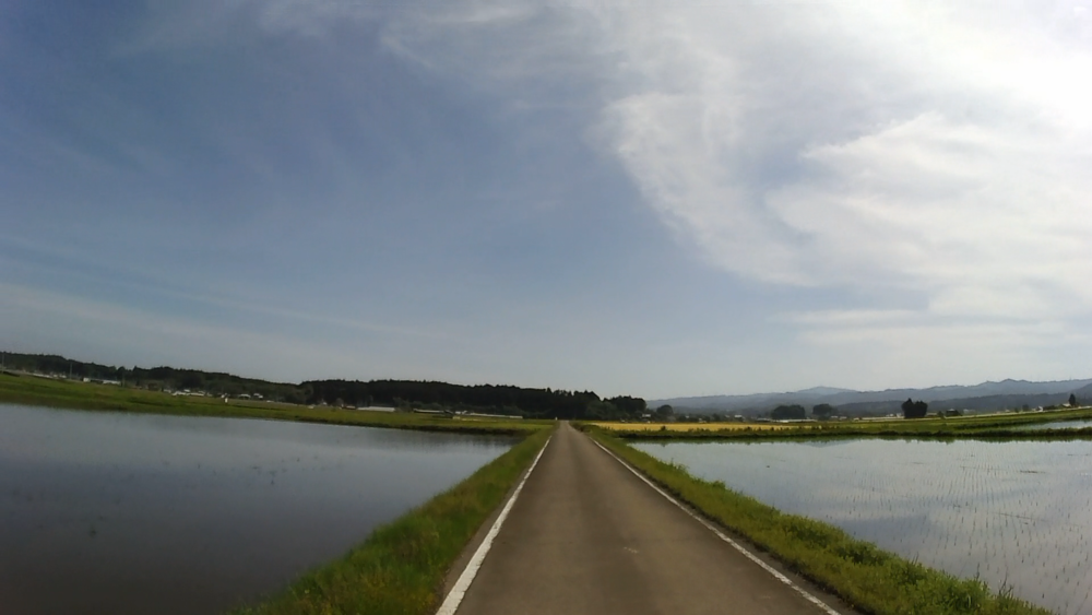 栃木県、大田原市歴史と長閑な田園風景を巡る11キロのランニングの写真3