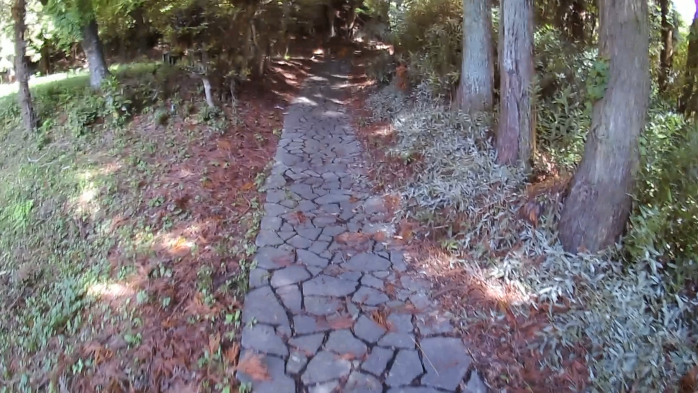 栃木県、大田原市歴史と長閑な田園風景を巡る11キロのランニングの写真8