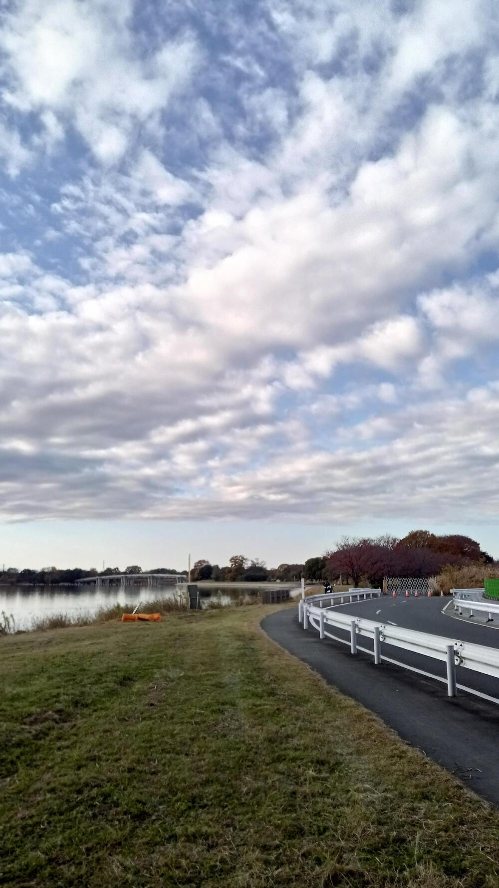 高島平から35キロ走るの写真9