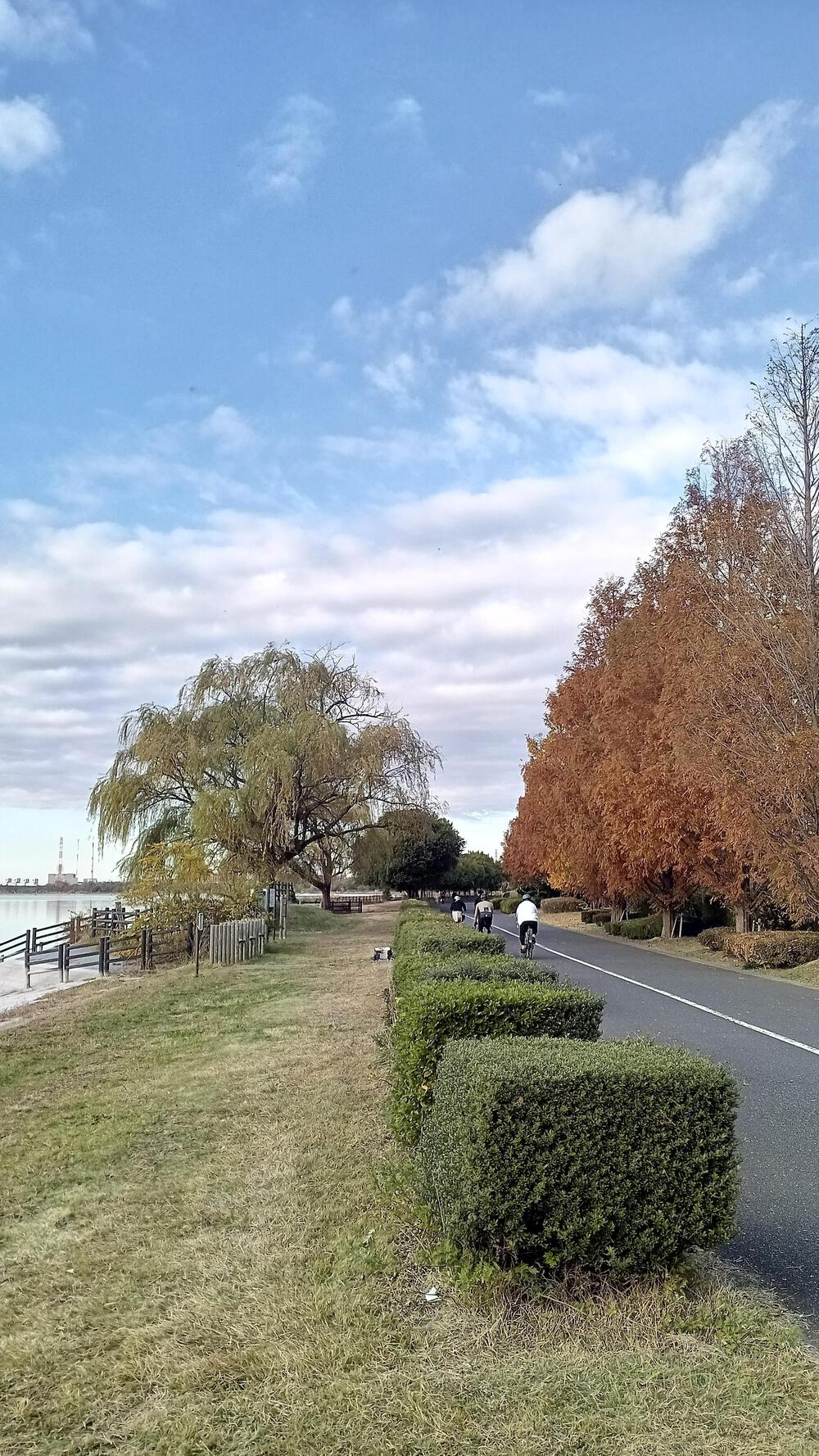 高島平から35キロ走るの写真11