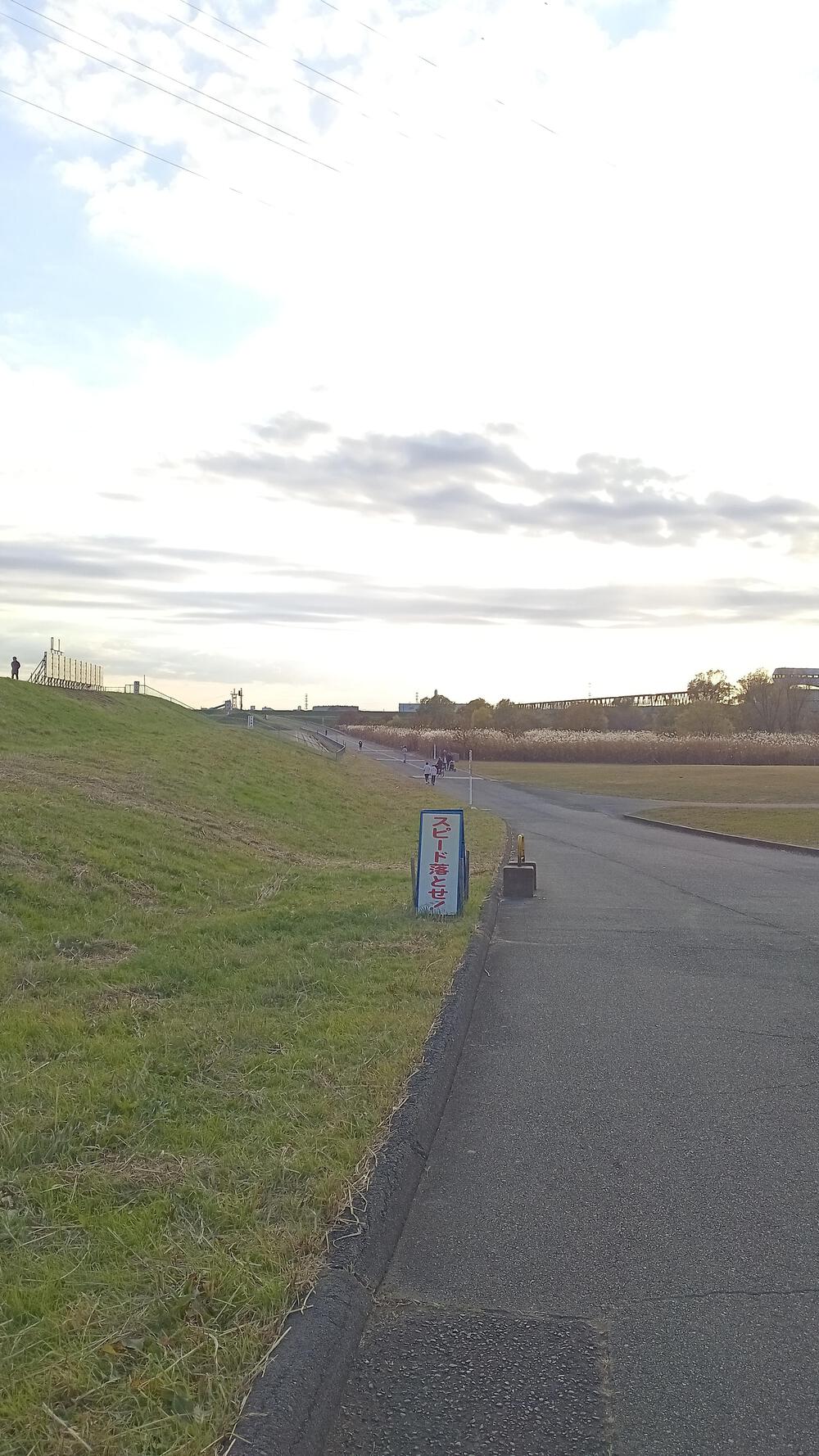 高島平から35キロ走るの写真12