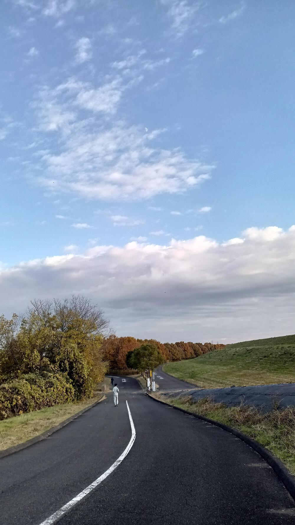 高島平から35キロ走るの写真13