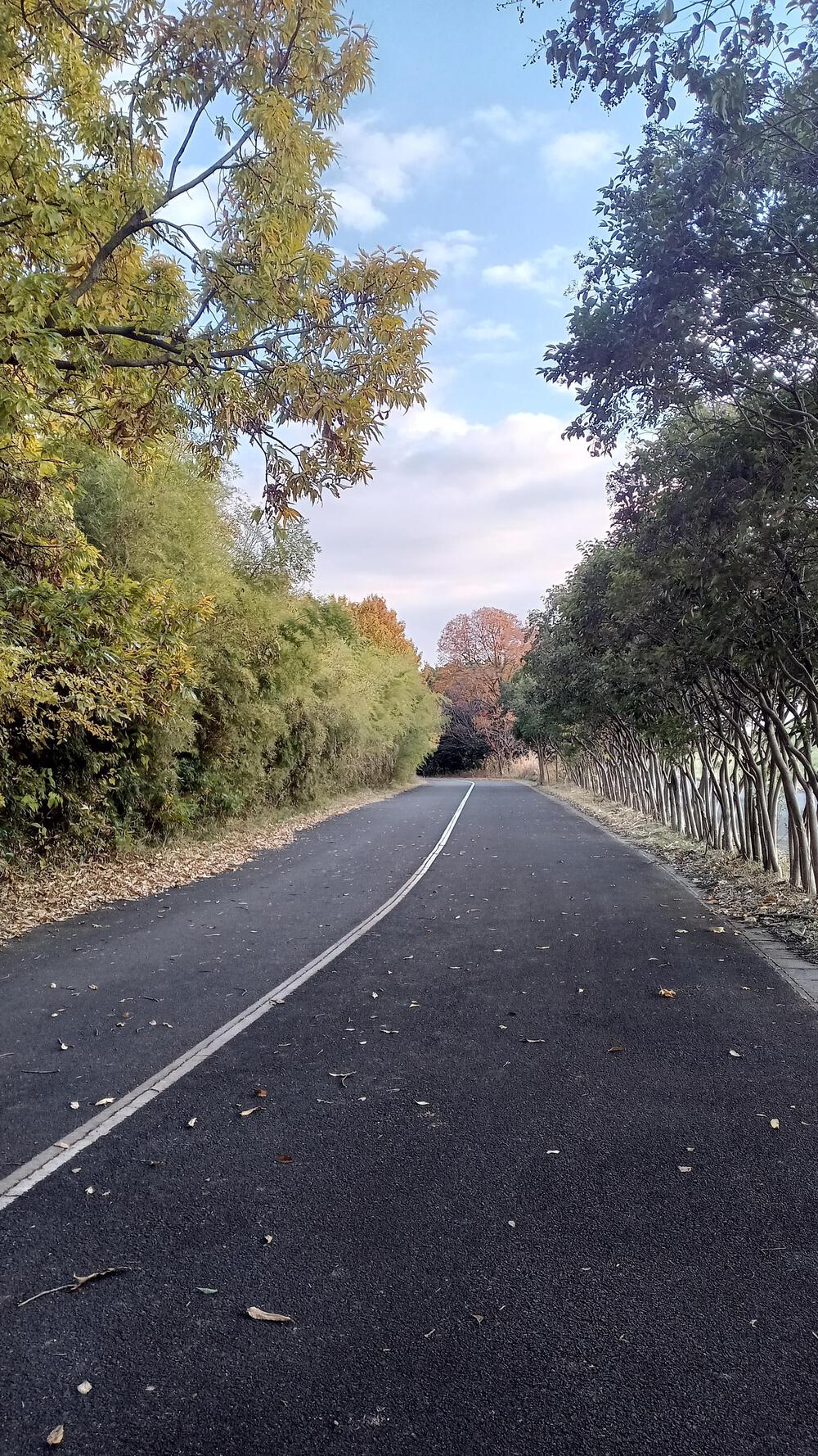高島平から35キロ走るの写真14