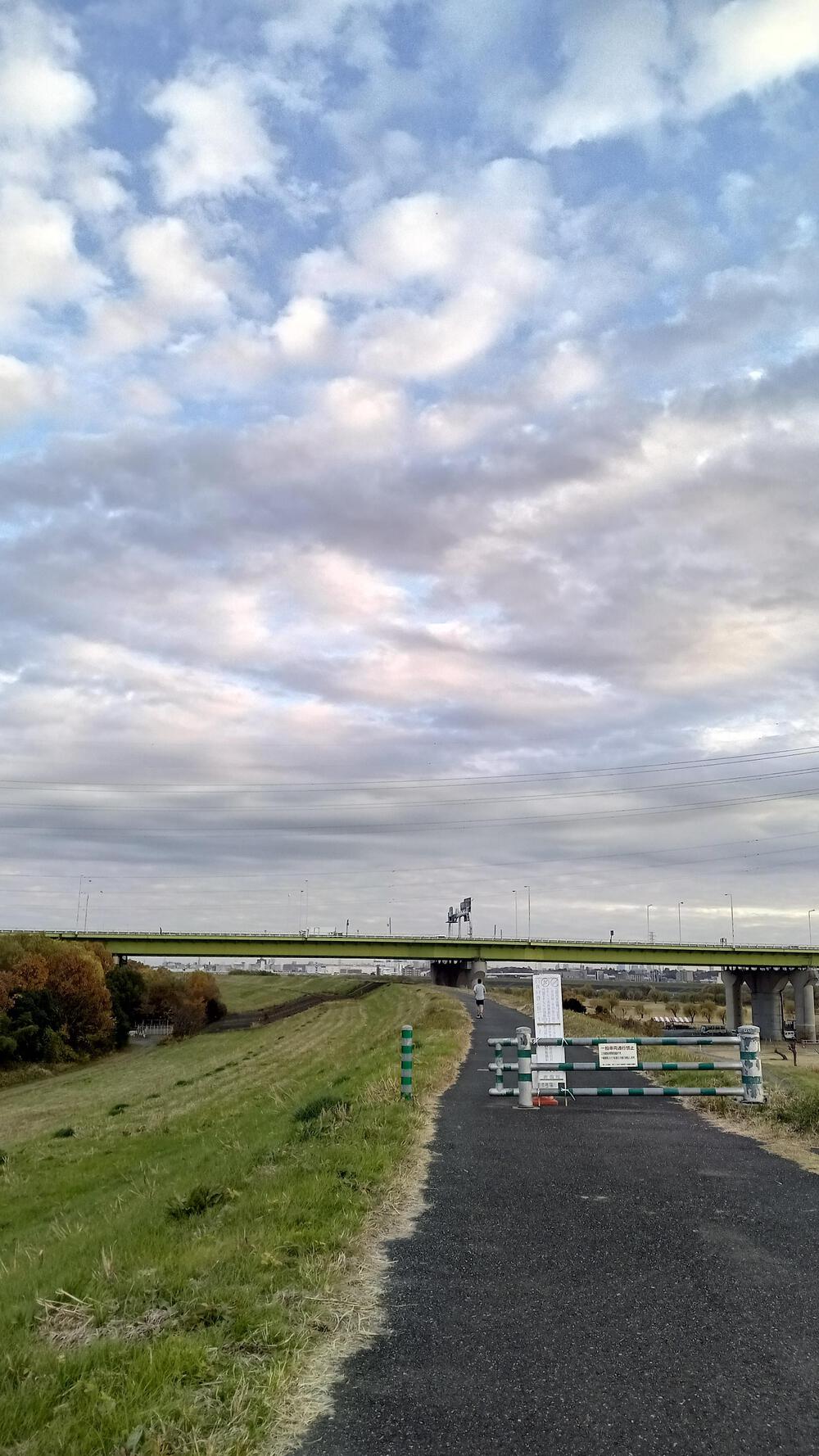 高島平から35キロ走るの写真16