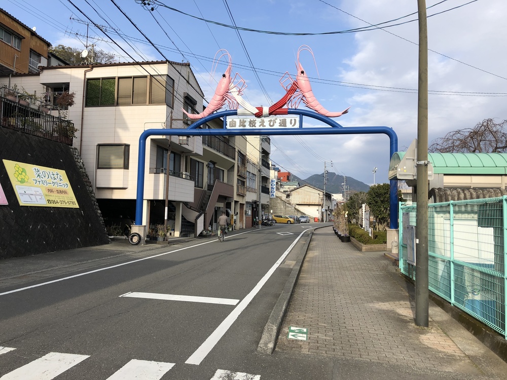 富士川・駿河湾・由比 20Kの写真8