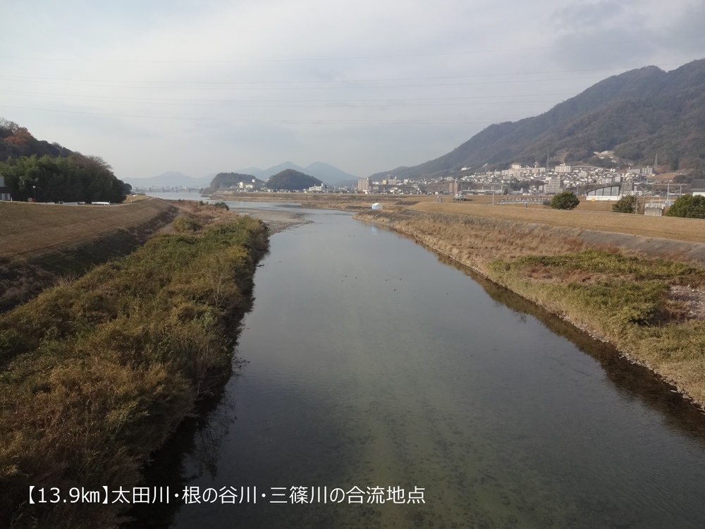 【ロード27㎞】太田川を巡るロングコースの写真5