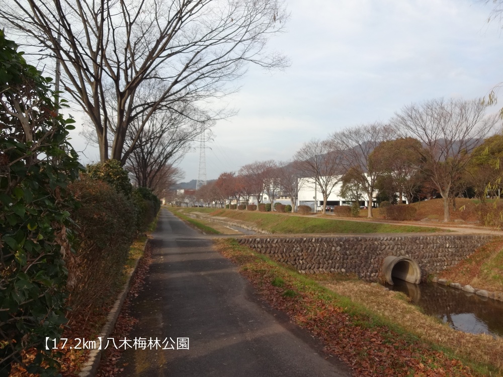 【ロード27㎞】太田川を巡るロングコースの写真7