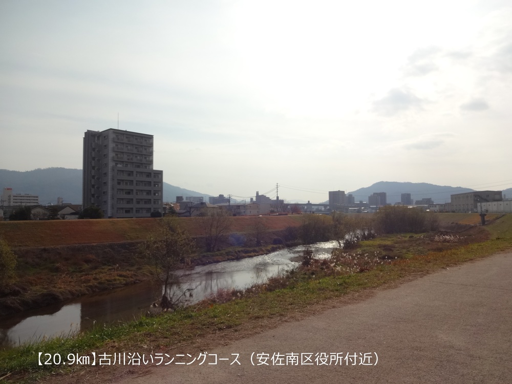 【ロード27㎞】太田川を巡るロングコースの写真8