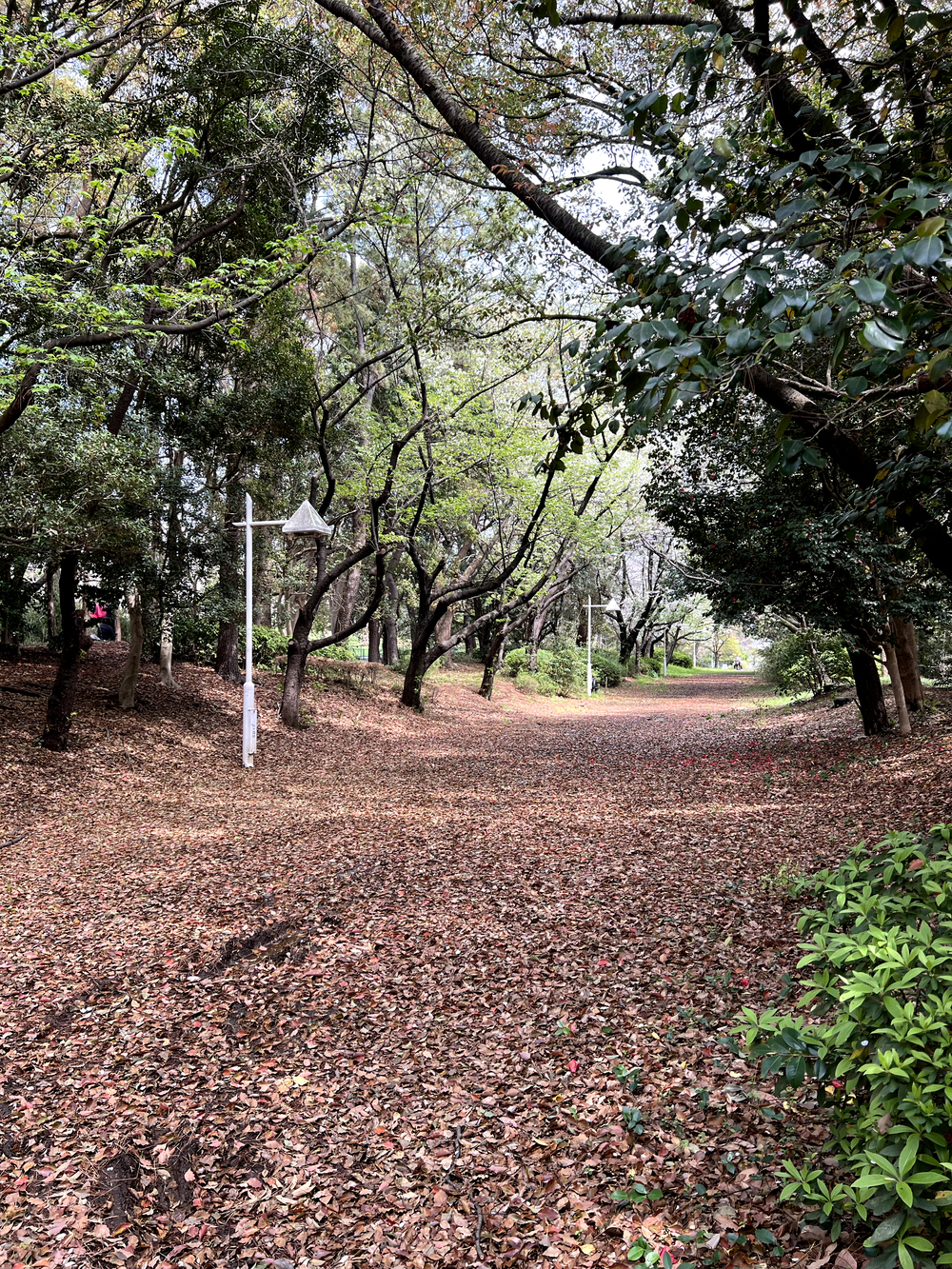 東京ゲートブリッジ〜アクアティクスセンター往復の写真4