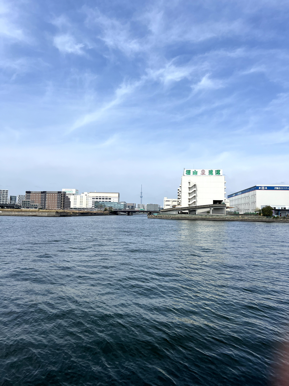 東京ゲートブリッジ〜アクアティクスセンター往復の写真6