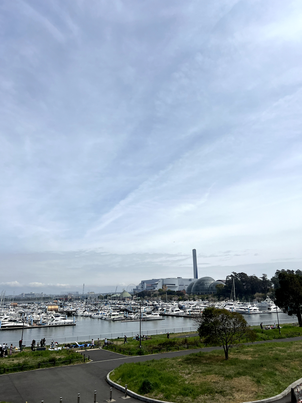 東京ゲートブリッジ〜アクアティクスセンター往復の写真7