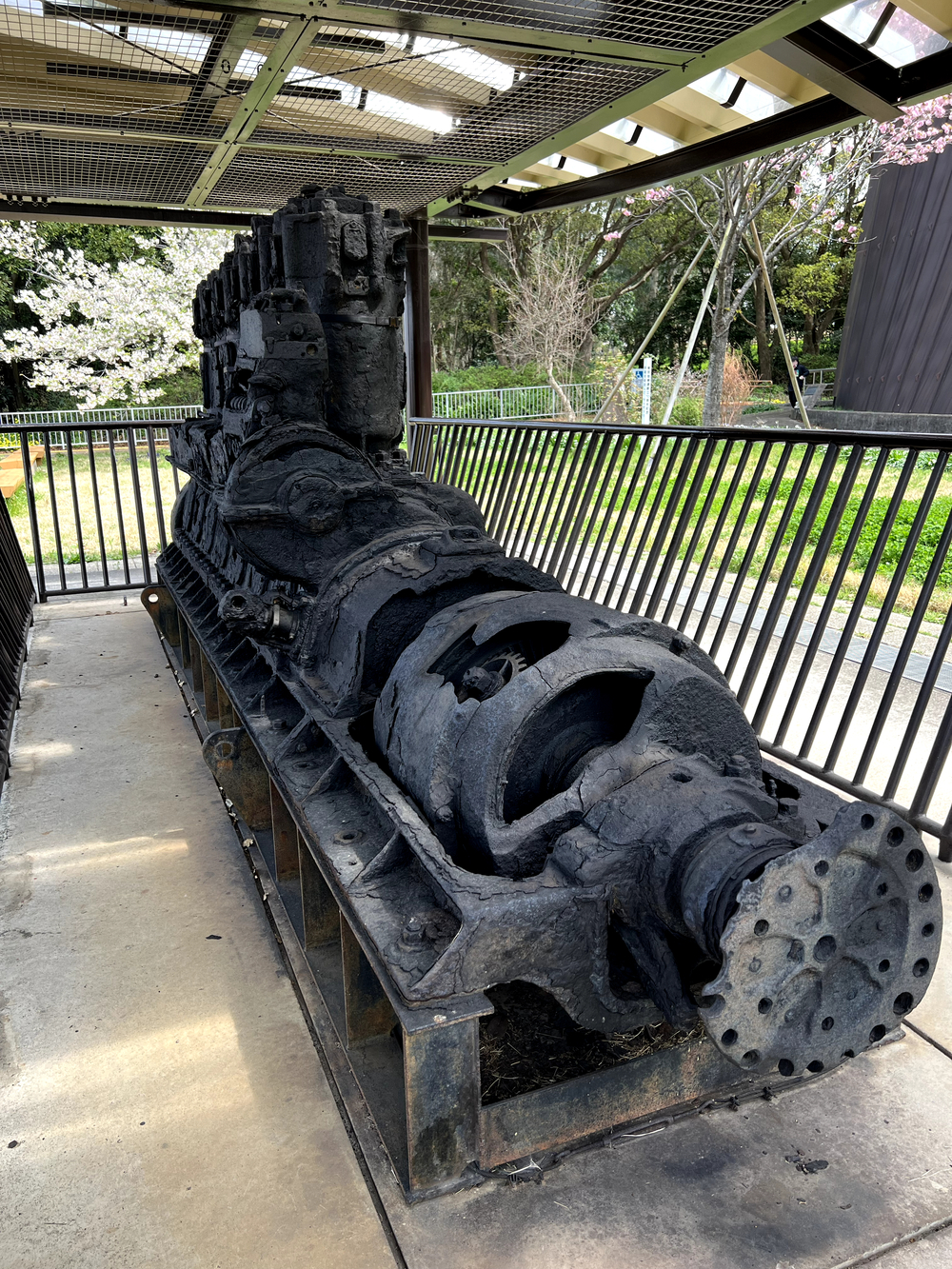 東京ゲートブリッジ〜アクアティクスセンター往復の写真8