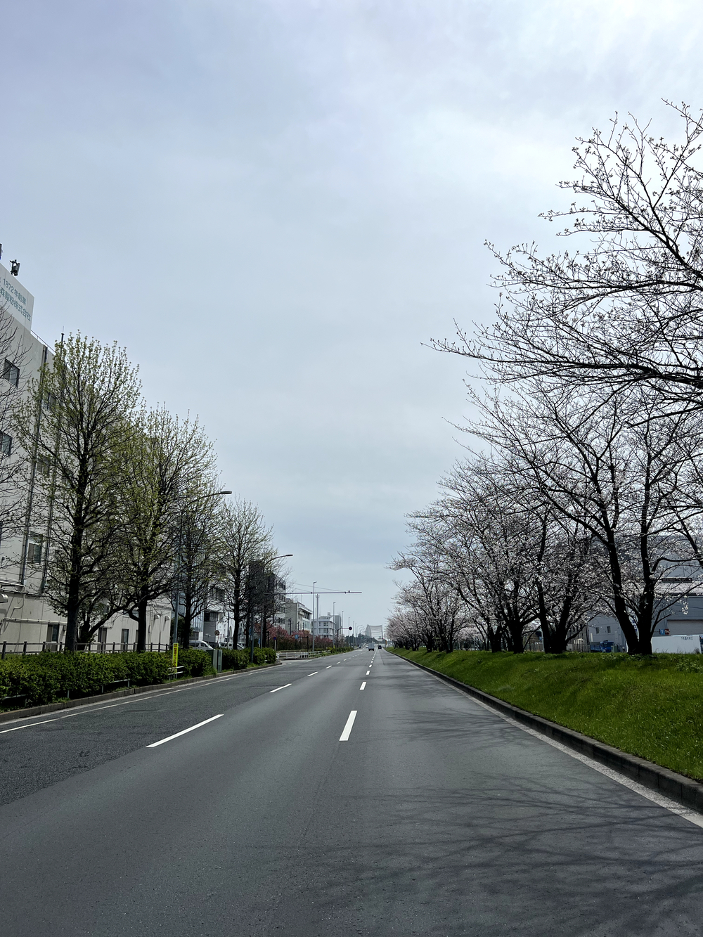 東京ゲートブリッジ〜アクアティクスセンター往復の写真10