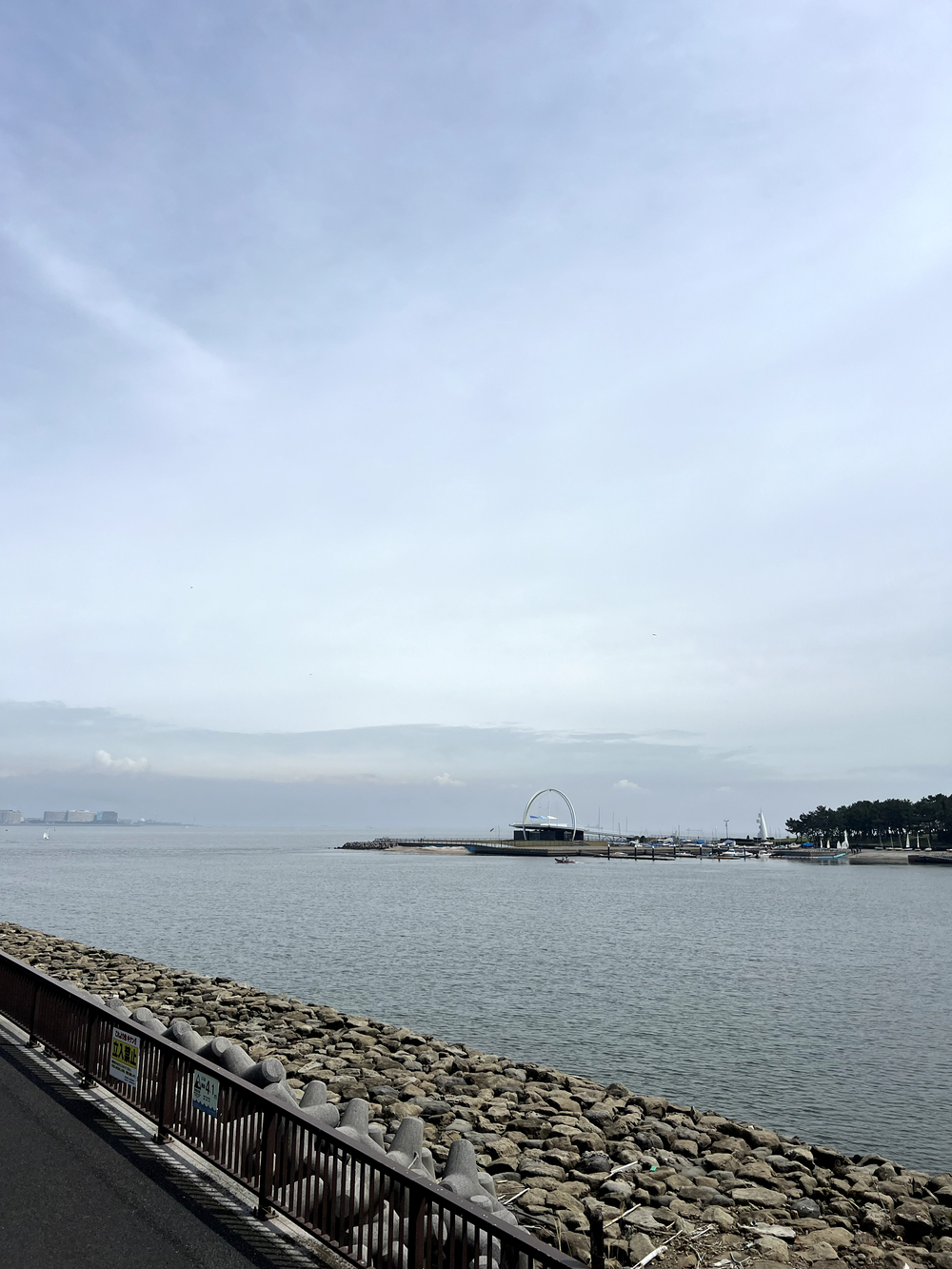 東京ゲートブリッジ〜アクアティクスセンター往復の写真11