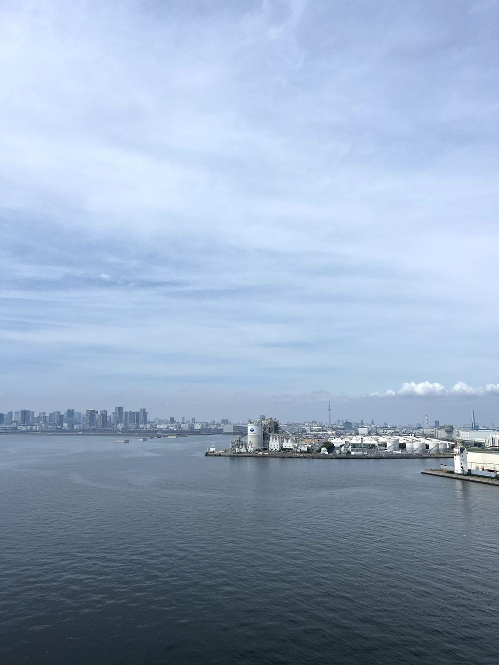 東京ゲートブリッジ〜アクアティクスセンター往復の写真14