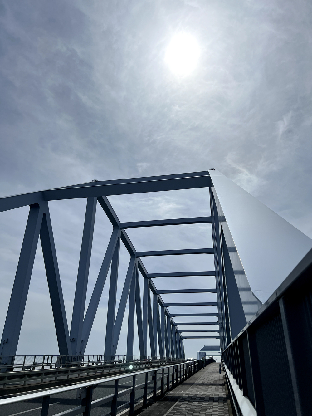 東京ゲートブリッジ〜アクアティクスセンター往復の写真15