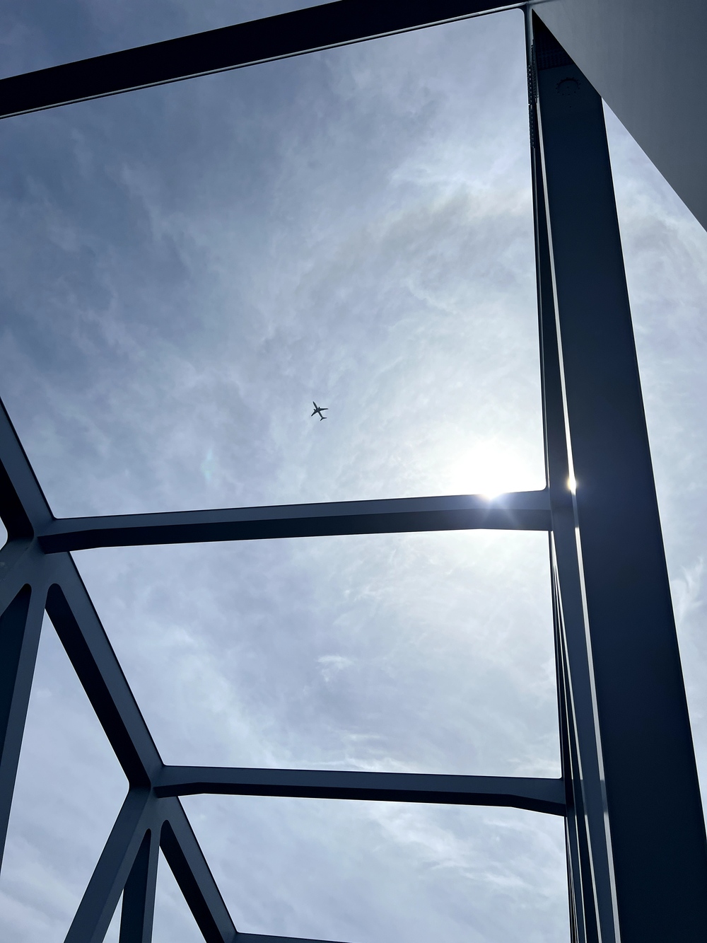 東京ゲートブリッジ〜アクアティクスセンター往復の写真16