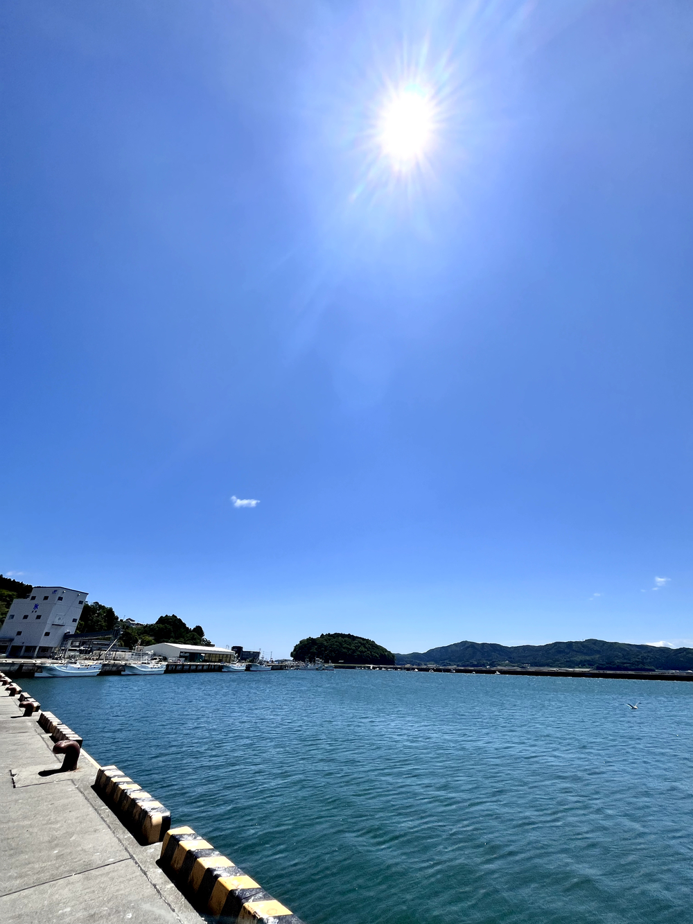 海の街南三陸町のいいとこ取り！！の写真5