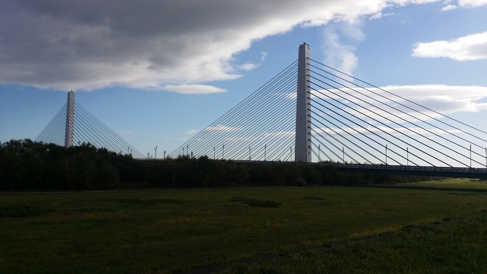 帯広駅発、十勝川・札内川を楽しむコースの写真4