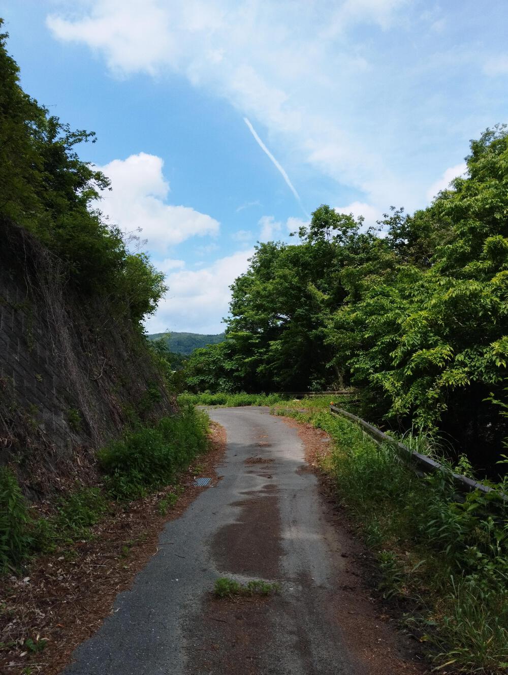 小山ダム湖周遊舗装路ルートの写真4