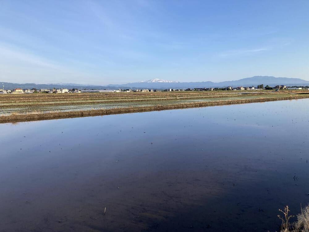 見渡すかぎりの畦道を走る♪山形市馬見ヶ崎川の写真3