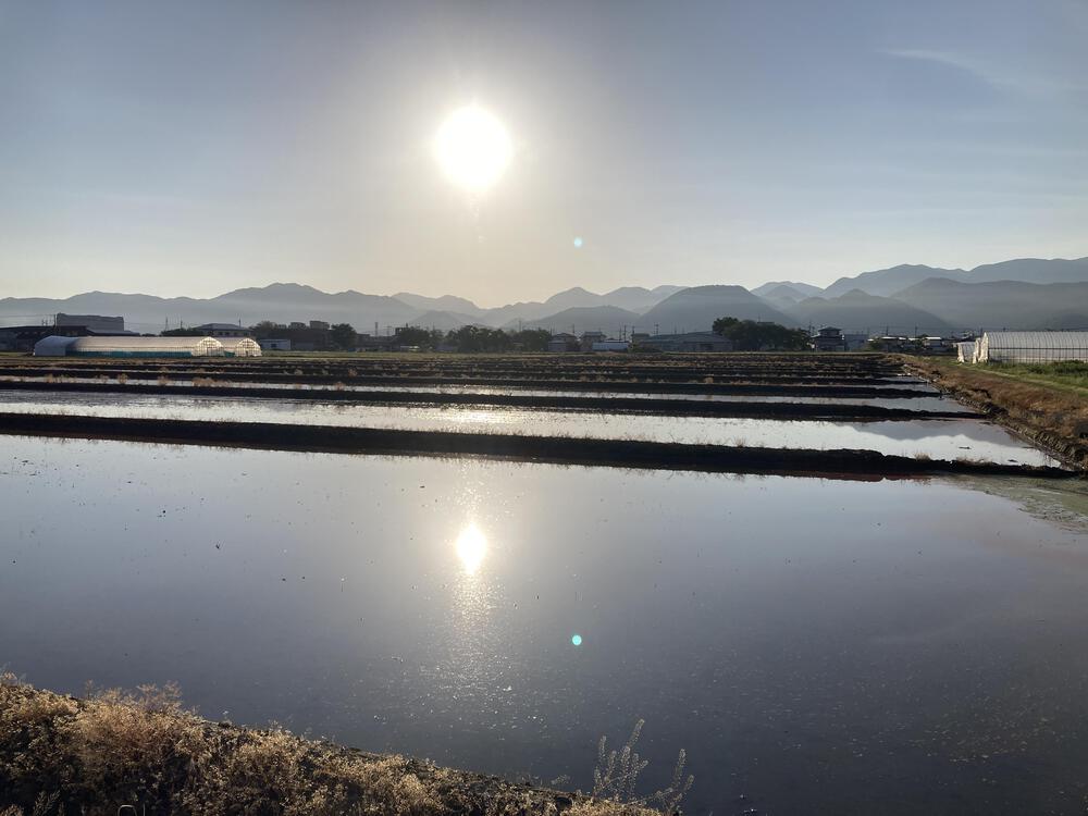 見渡すかぎりの畦道を走る♪山形市馬見ヶ崎川の写真4