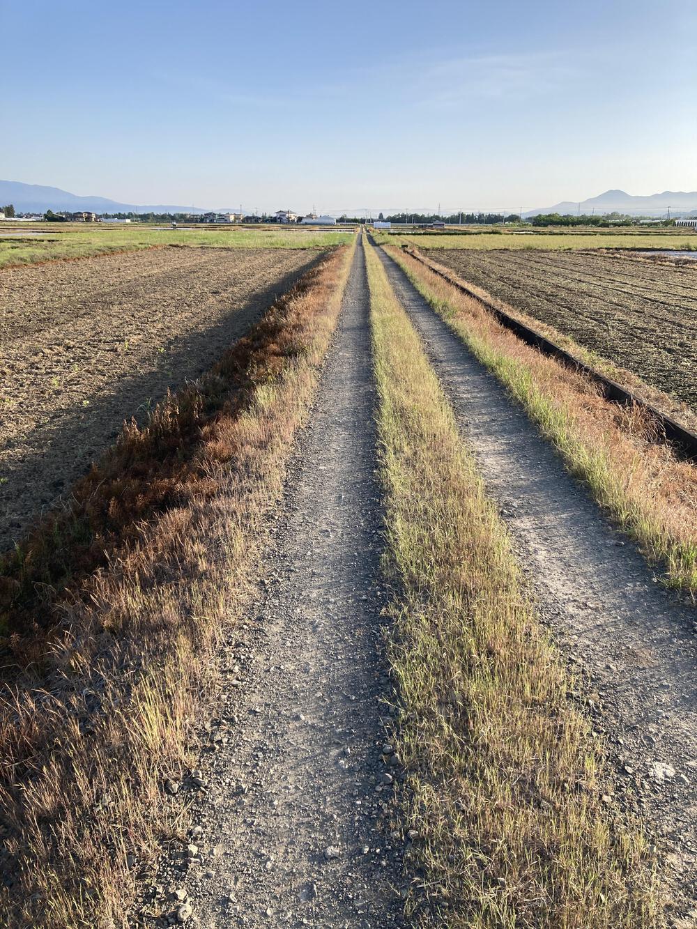 見渡すかぎりの畦道を走る♪山形市馬見ヶ崎川の写真6