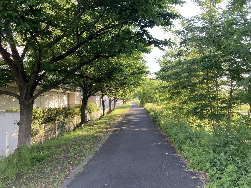 見渡すかぎりの畦道を走る♪山形市馬見ヶ崎川の写真7