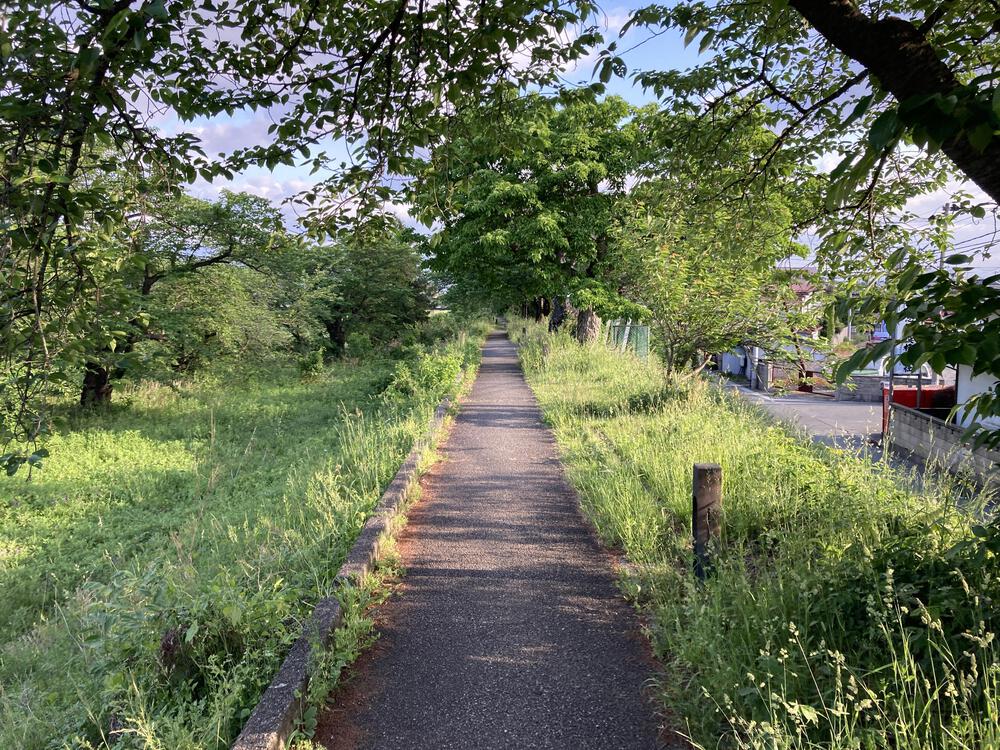 見渡すかぎりの畦道を走る♪山形市馬見ヶ崎川の写真8