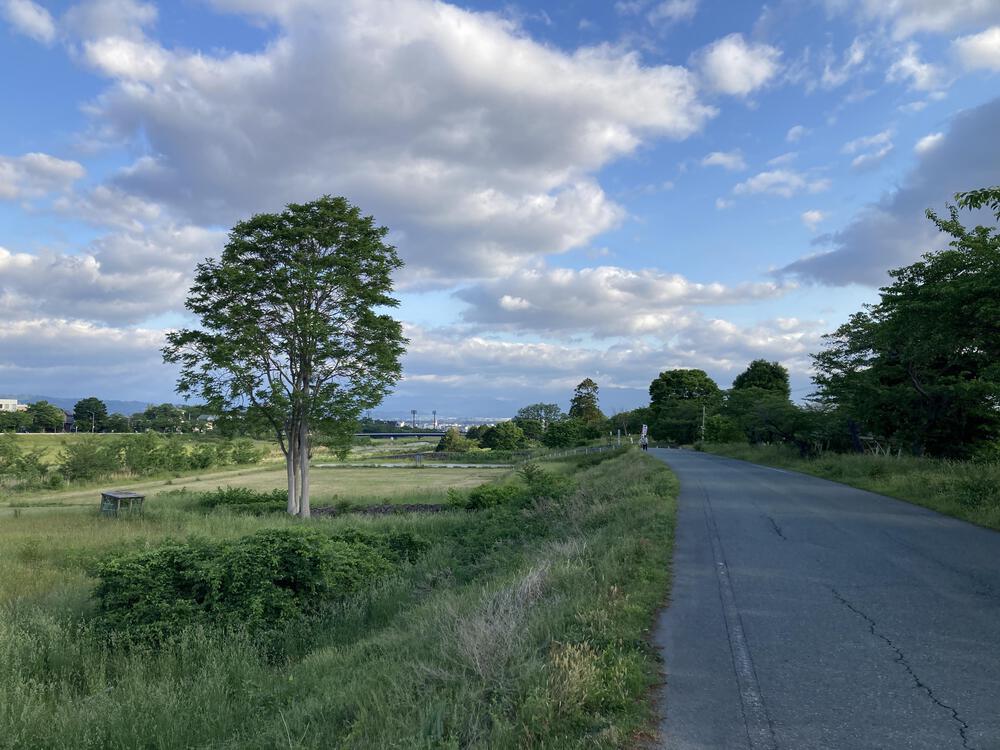 見渡すかぎりの畦道を走る♪山形市馬見ヶ崎川の写真9