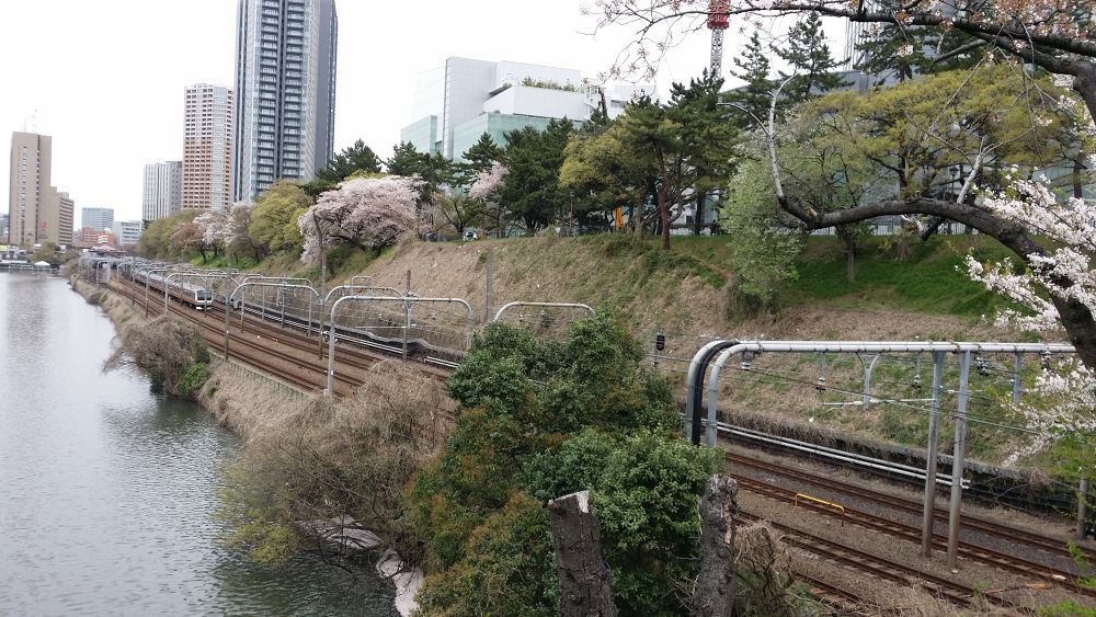 お花見ラン！四ッ谷〜飯田橋〜江戸川橋の写真3