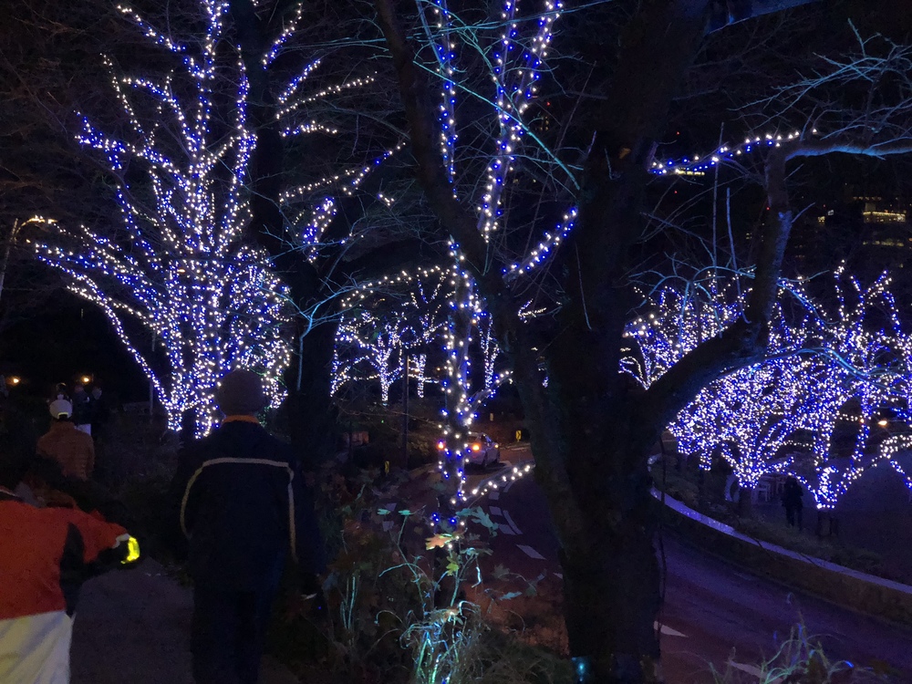 夜景ラン ミッドタウン&東京タワーの写真3