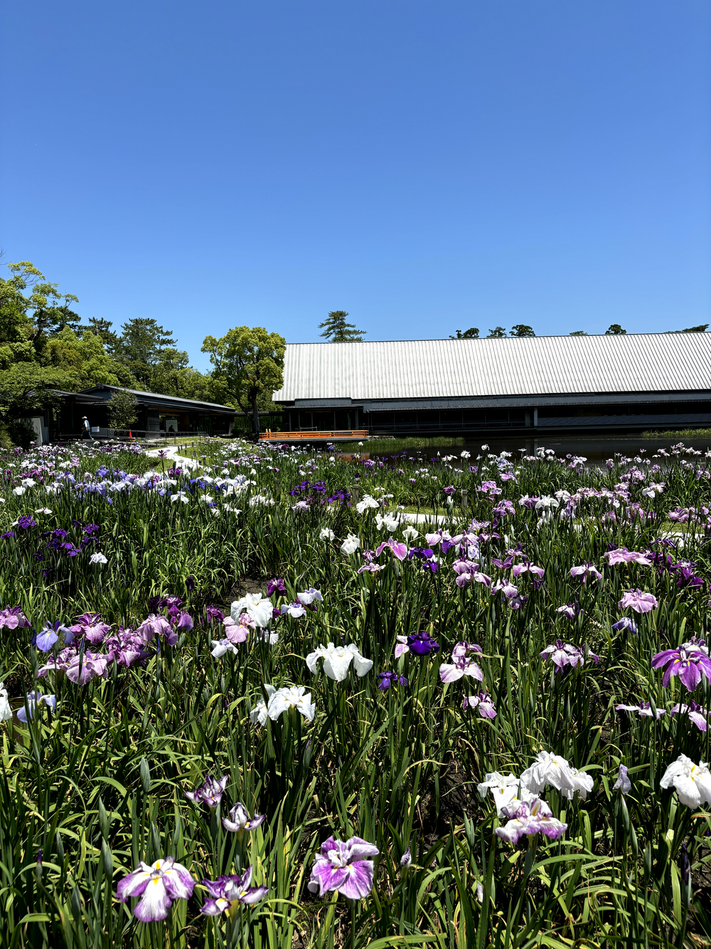 お伊勢参り正式ルートでランの写真3