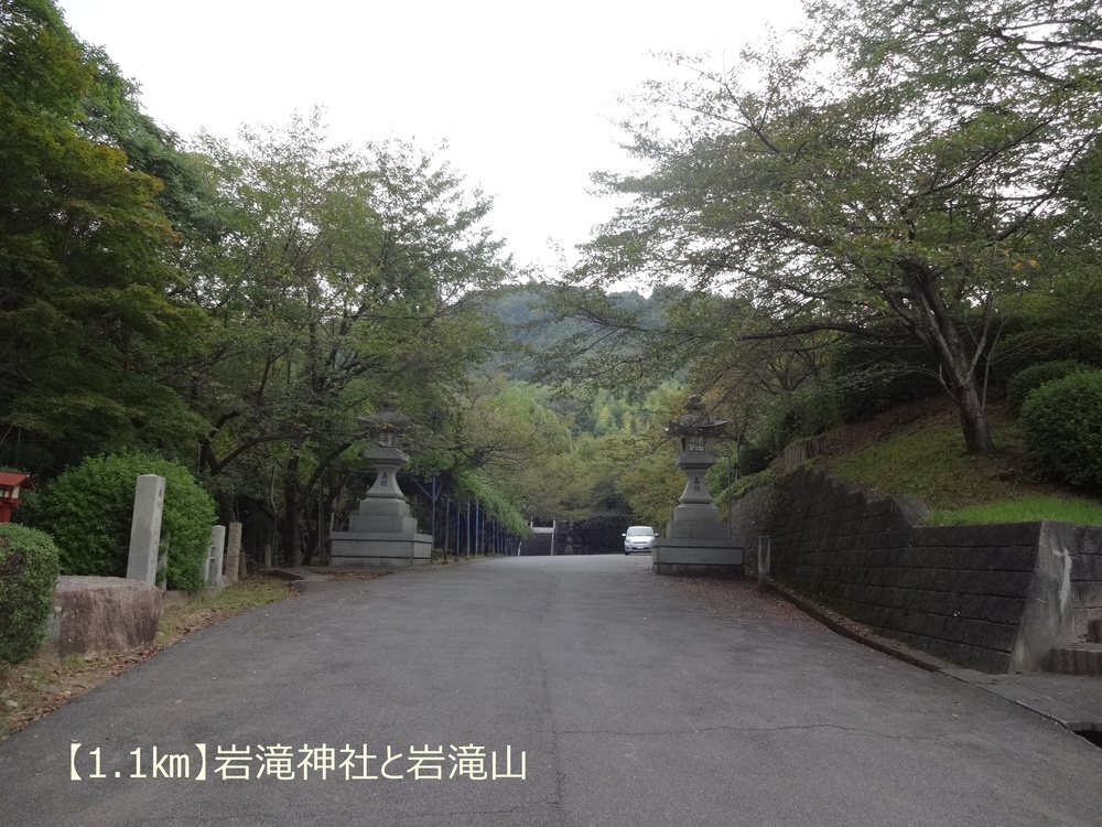 【トレイル22㎞】呉娑々宇山を巡る周回トレイル！の写真3