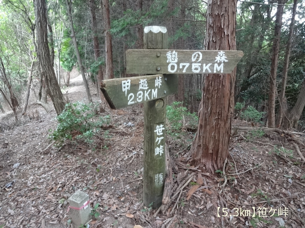 【トレイル22㎞】呉娑々宇山を巡る周回トレイル！の写真5