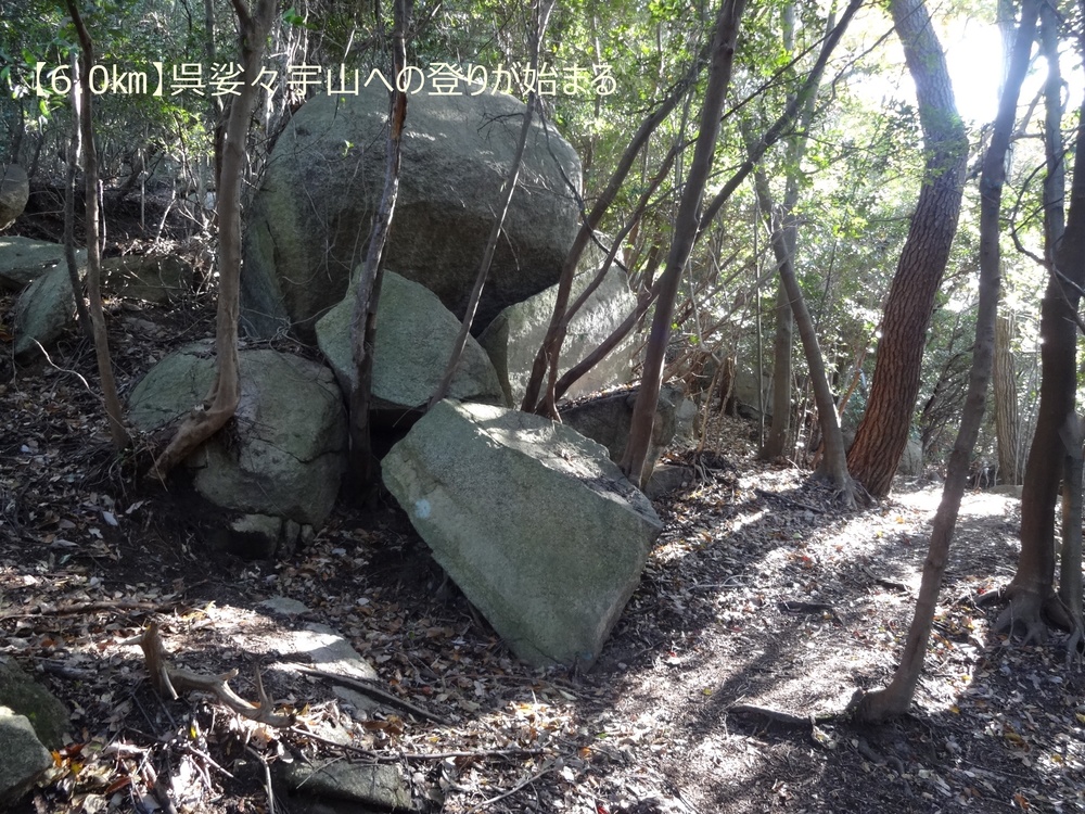 【トレイル22㎞】呉娑々宇山を巡る周回トレイル！の写真6