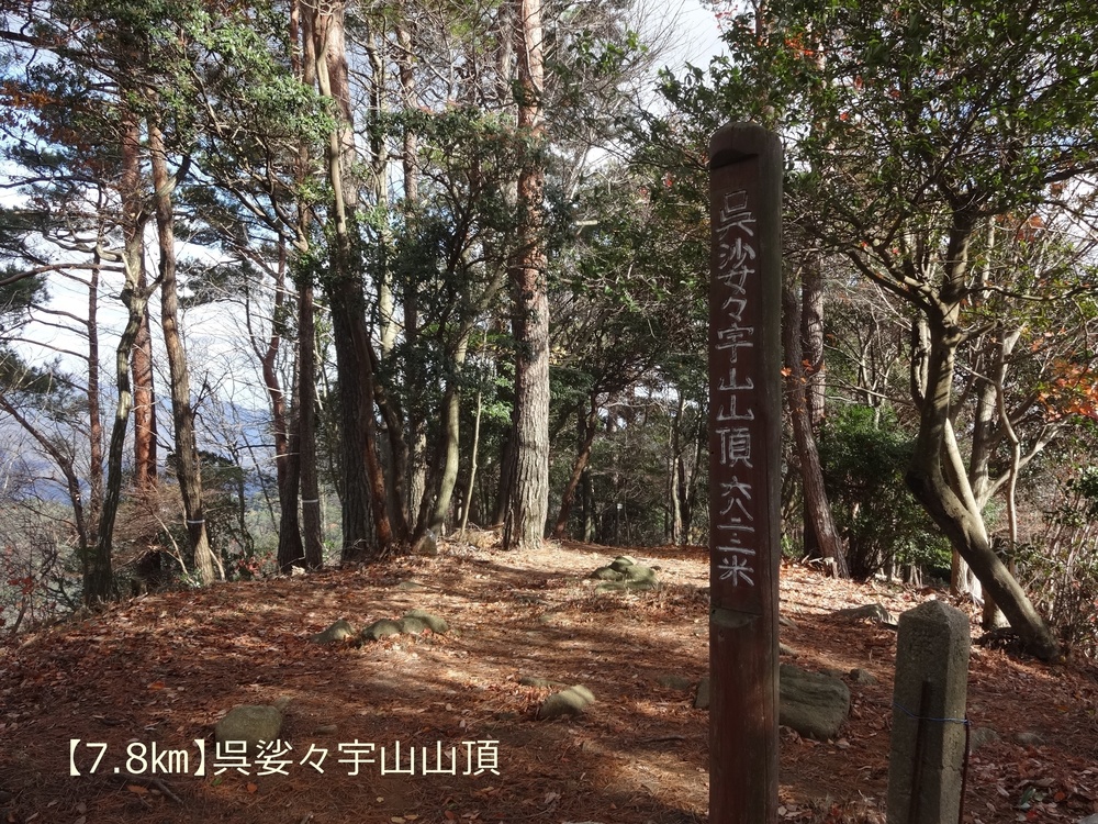 【トレイル22㎞】呉娑々宇山を巡る周回トレイル！の写真8