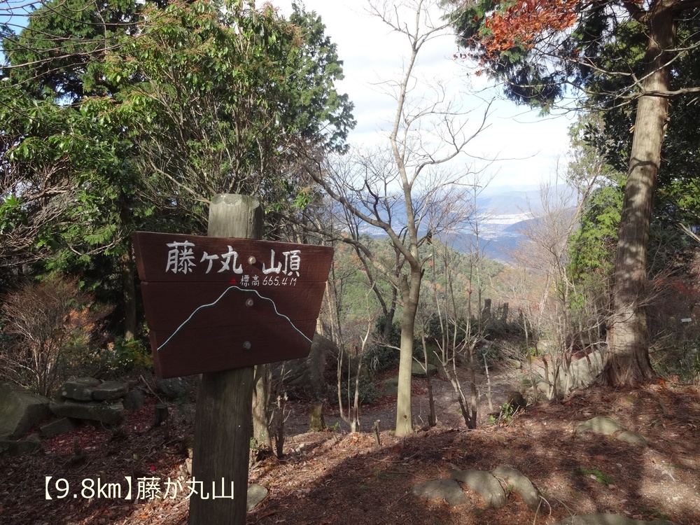 【トレイル22㎞】呉娑々宇山を巡る周回トレイル！の写真10