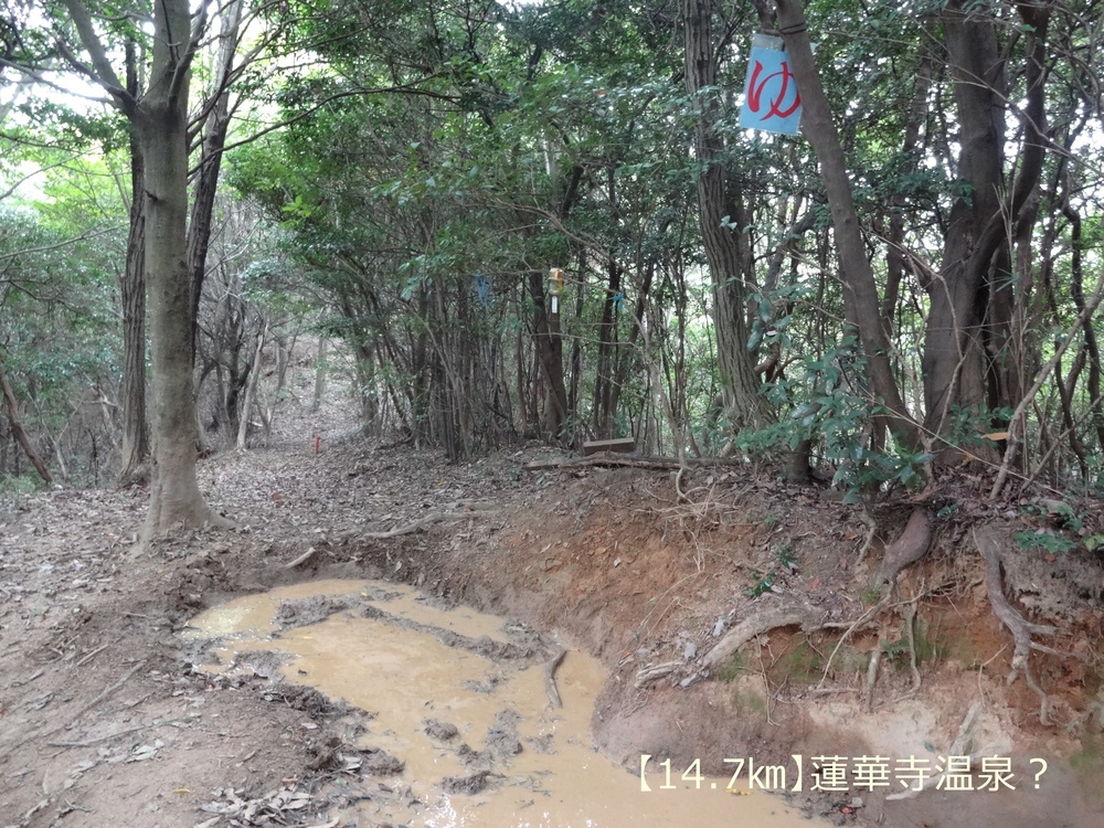 【トレイル22㎞】呉娑々宇山を巡る周回トレイル！の写真12